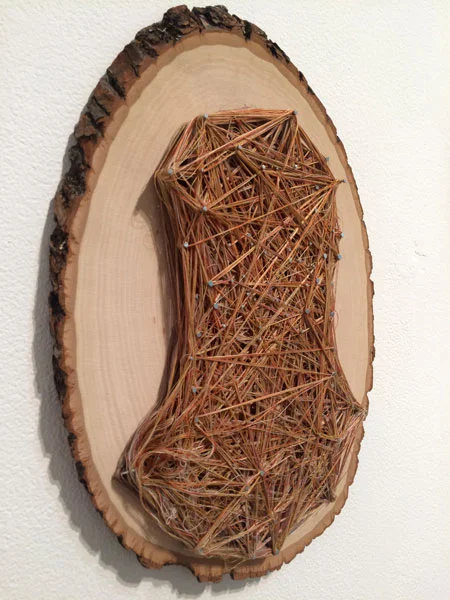 Obligatory Kin. 72"W x 18"H. Log Slices, Nails, Thread. (2014)