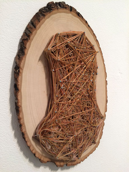  Obligatory Kin. 72"W x 18"H. Log Slices, Nails, Thread. (2014)