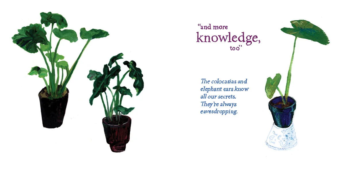 Three potted plants and a quote about knowledge, with a humorous poem about colocasias and elephant ears.