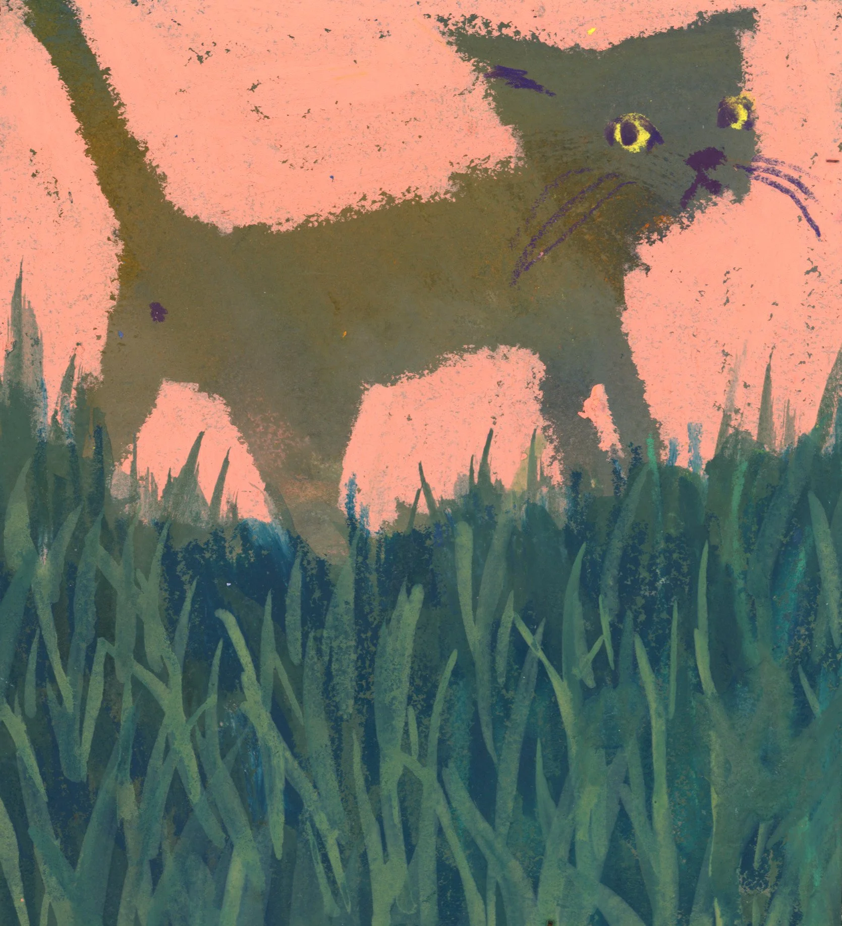 cat 1.jpg