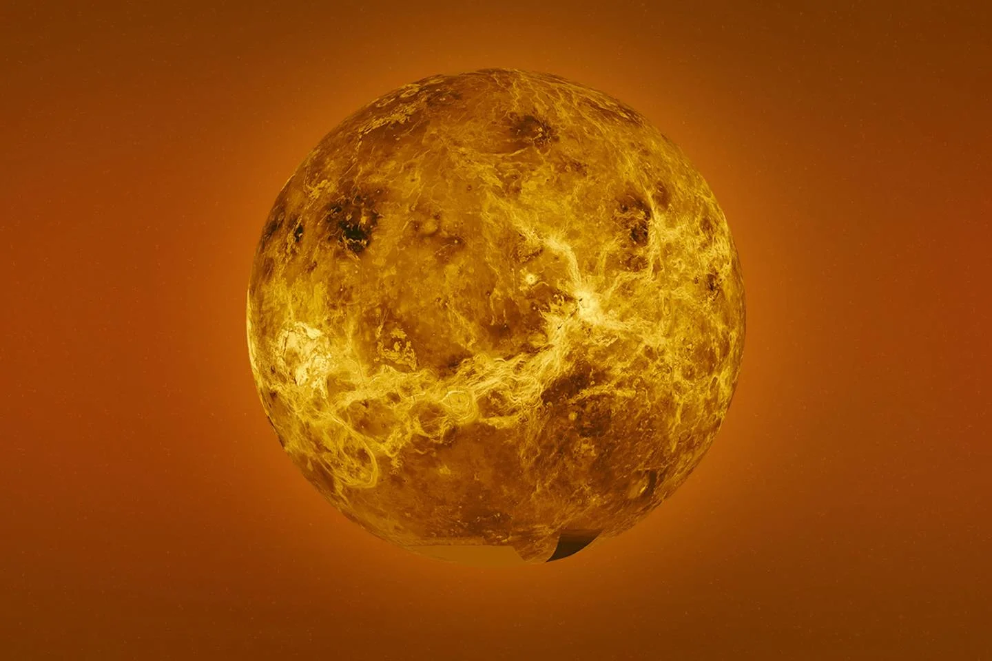 venus.jpg