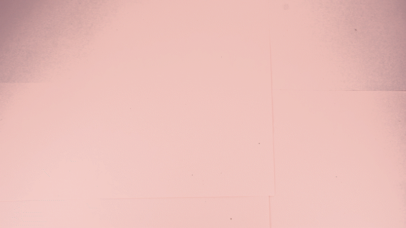 BEAN MOTION_3.gif