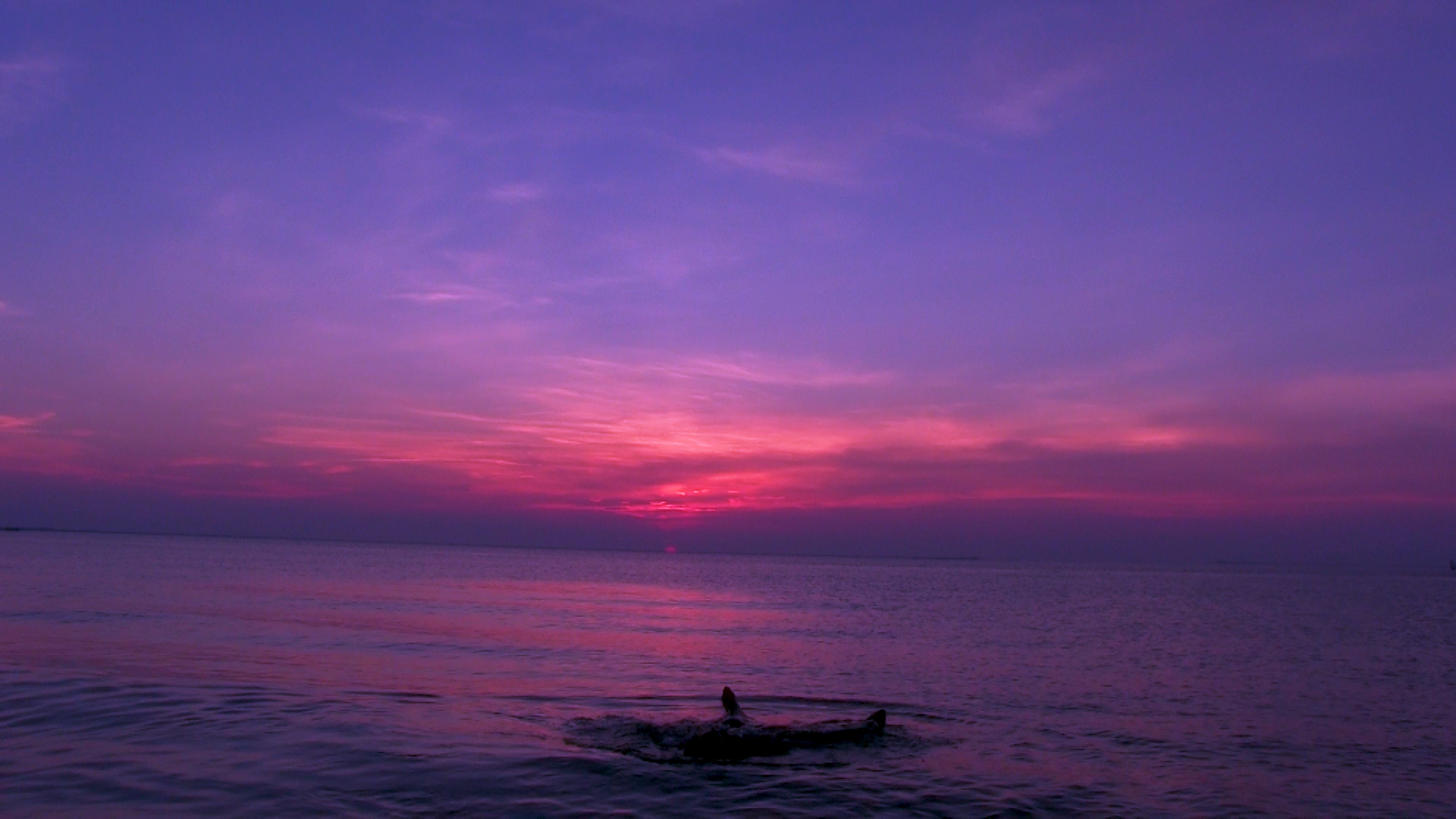 SWARM FINAL.00_00_52_26.Still001.jpg