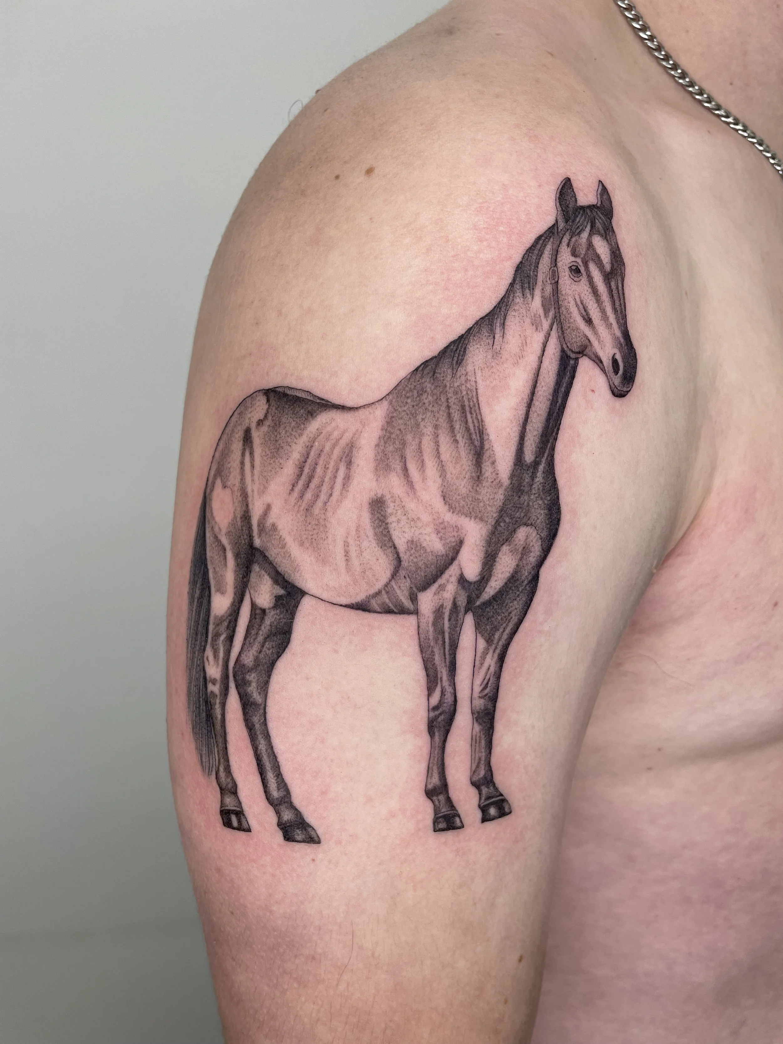 horse tattoo on shoulder
