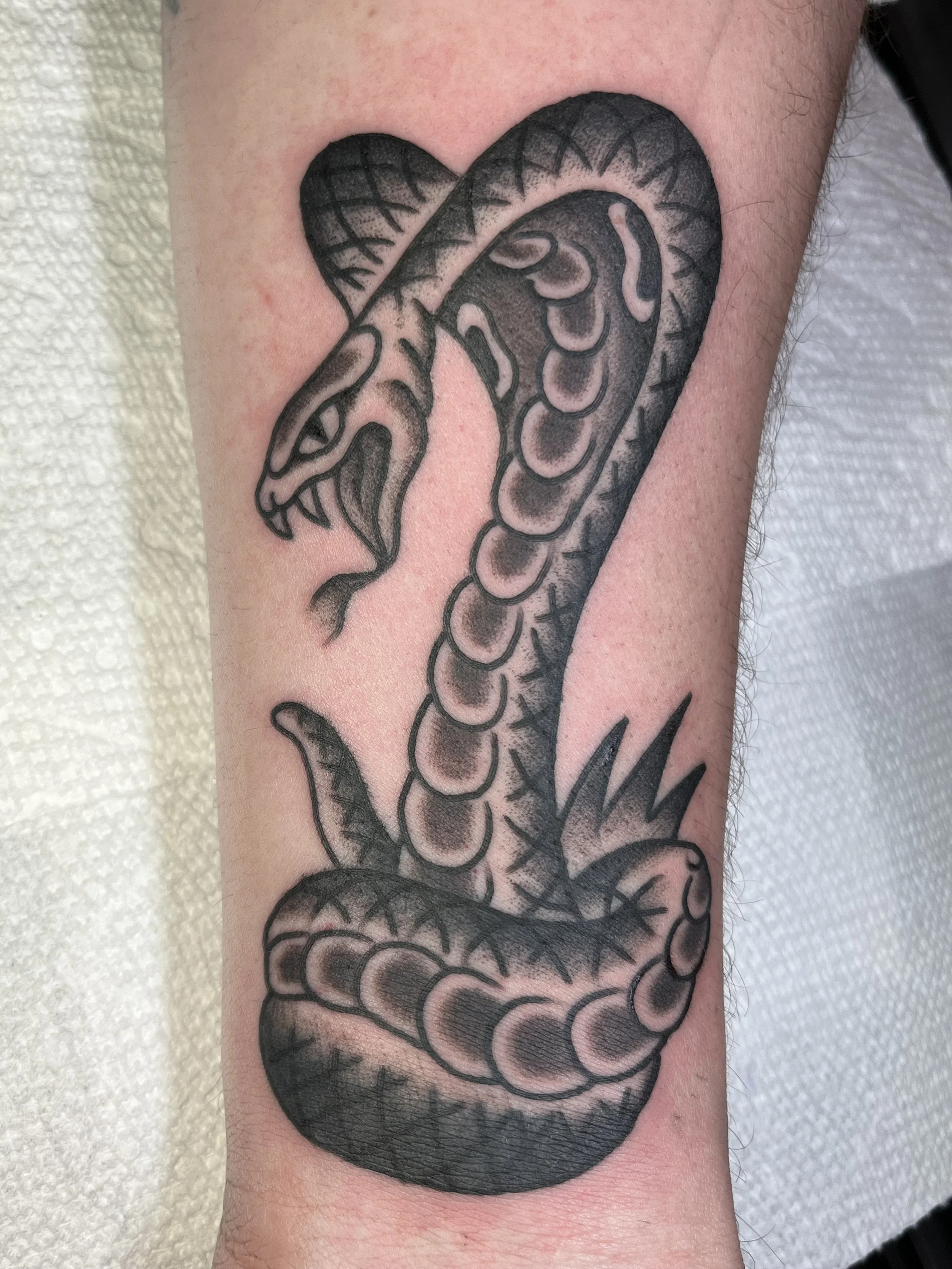 traditional cobra tattoo