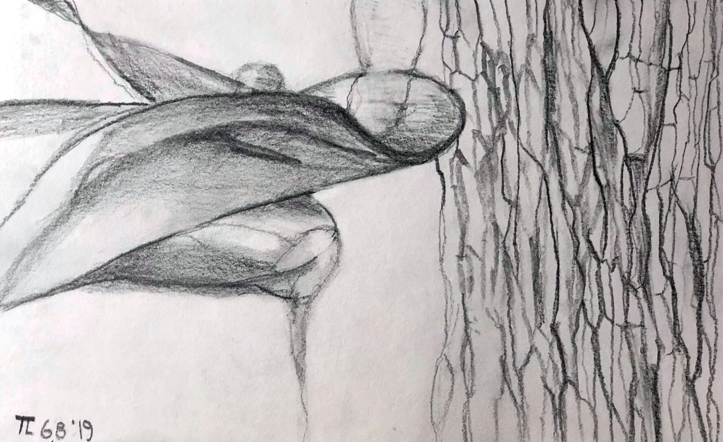 Flows &amp; Mutations