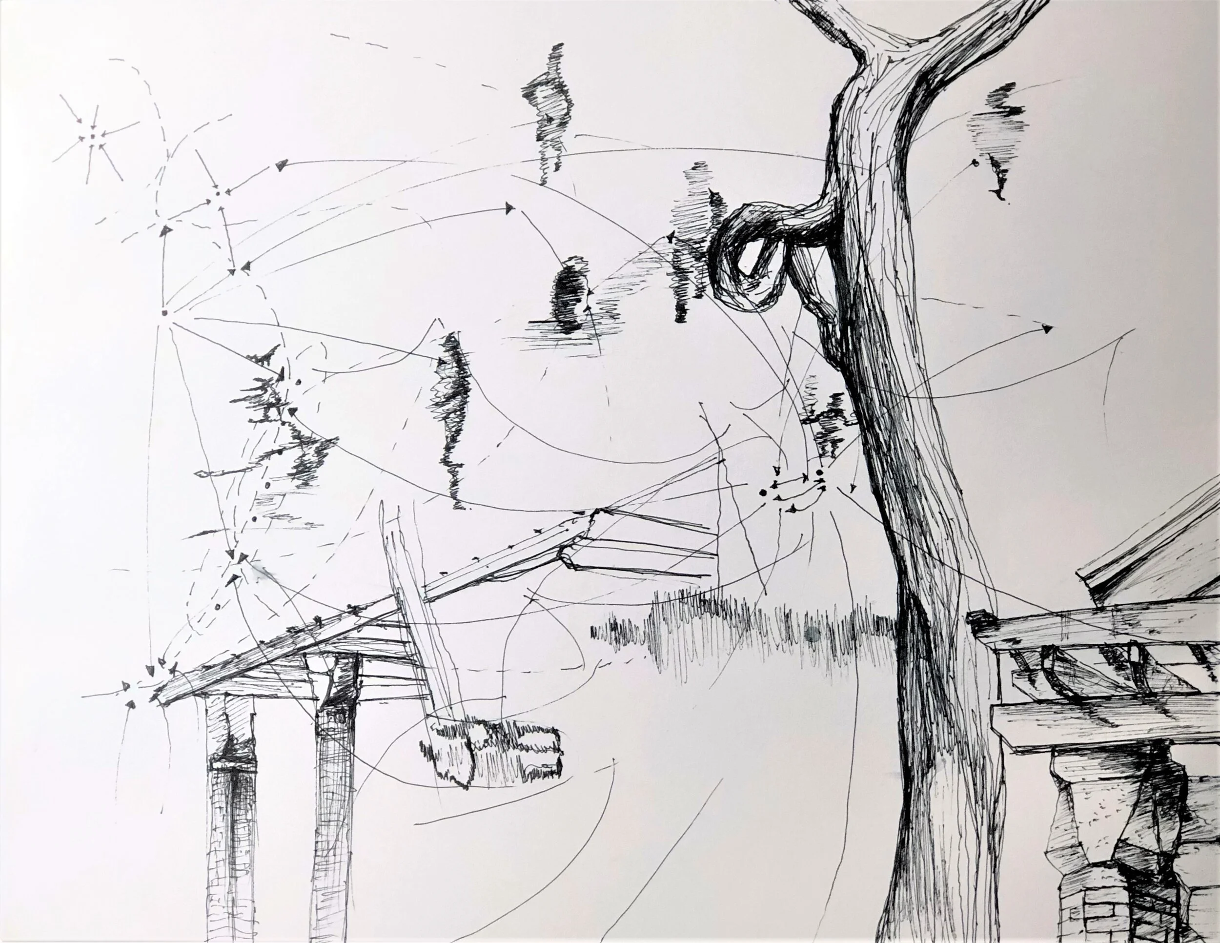 Patterns in Everything &amp; Beauty