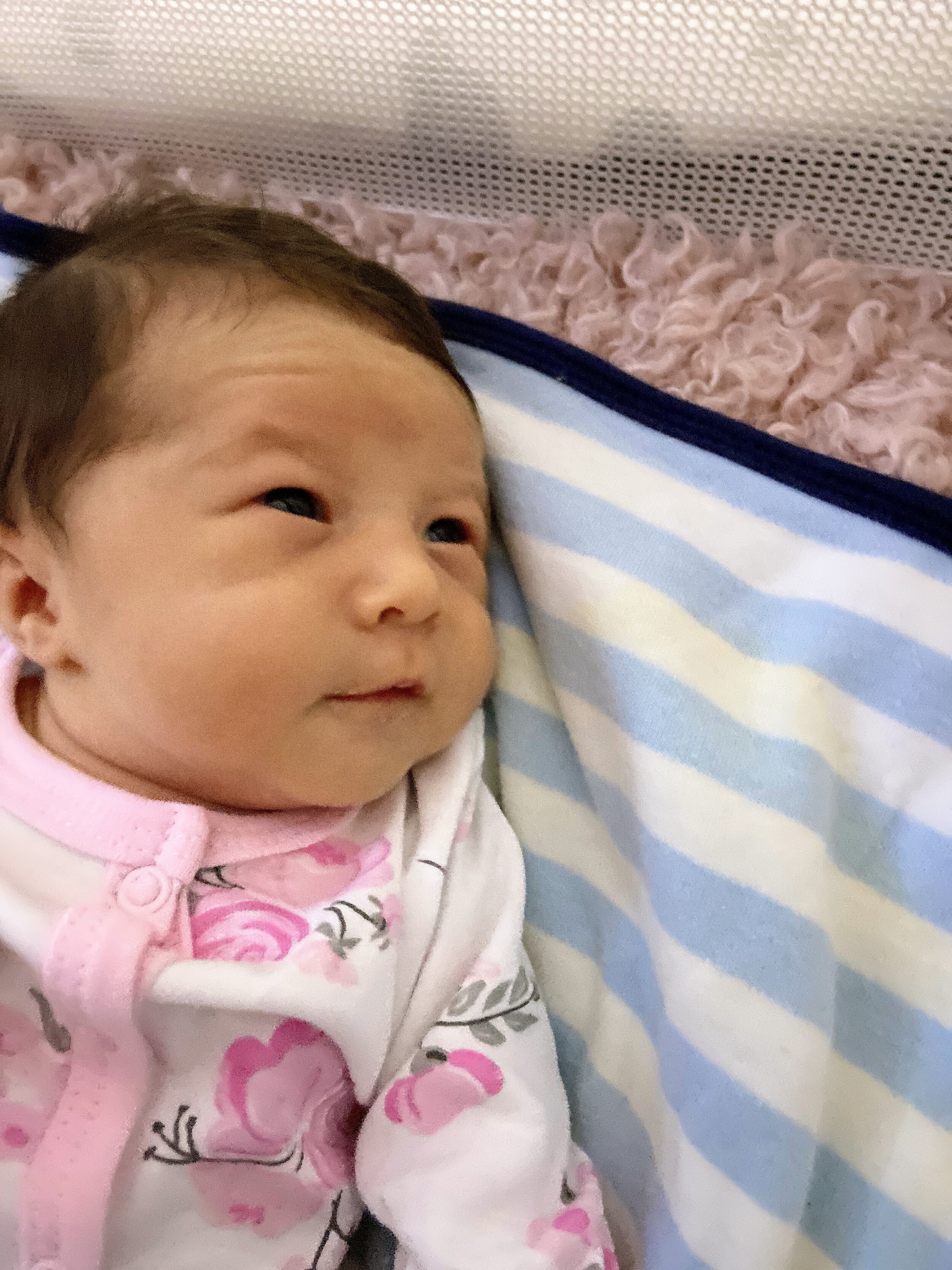 2020-04-20 23.04.06.jpg