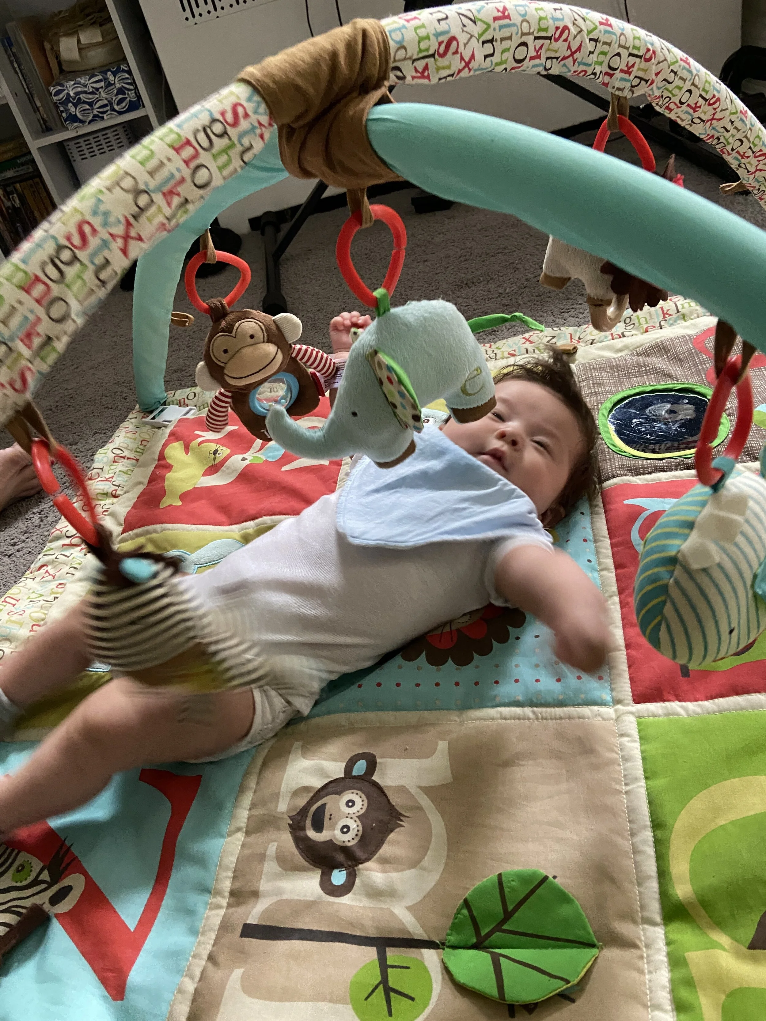 2020-08-03 18.06.04.jpg