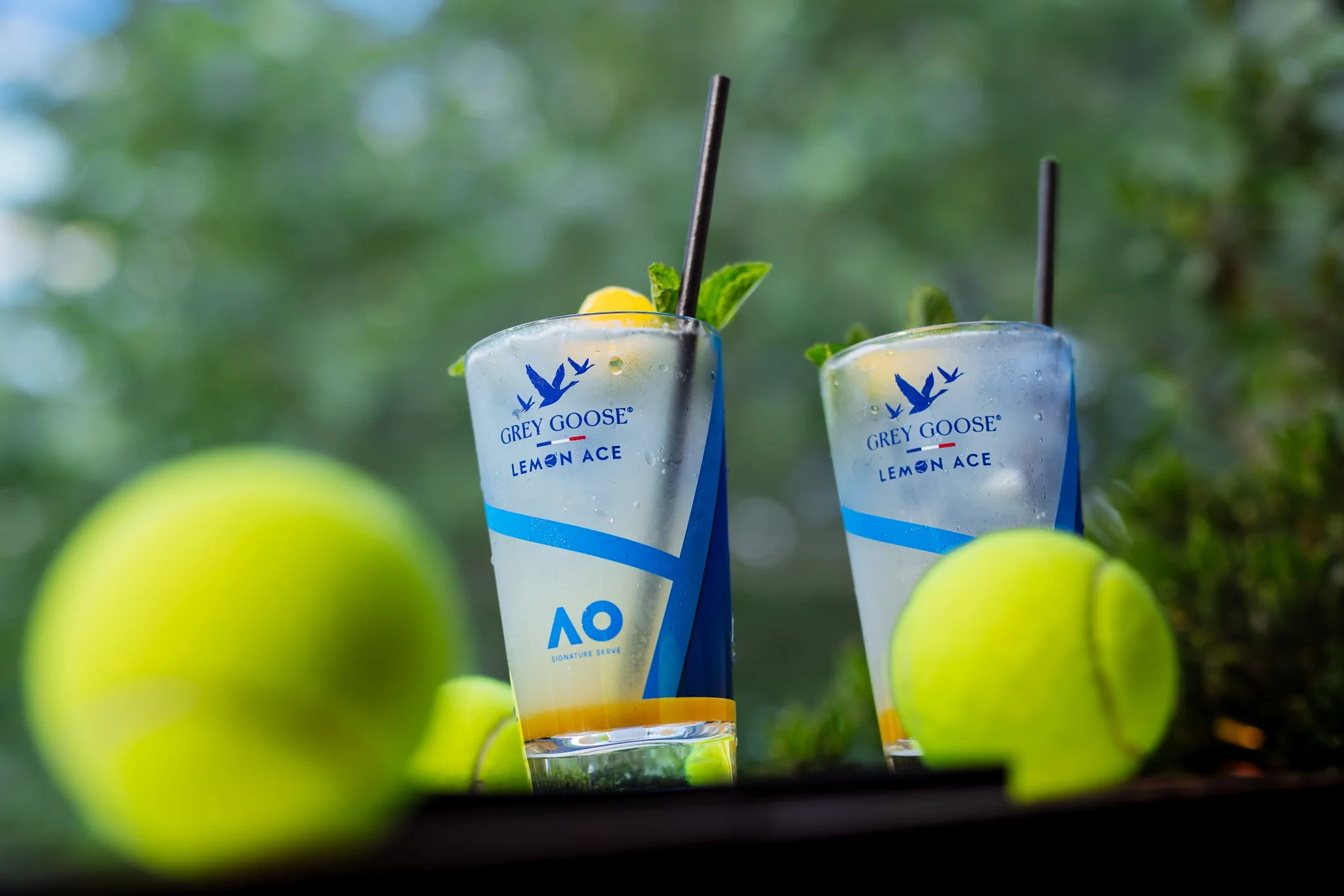 Grey Goose -  @ZENNIESHIA - ZENNIESHIA BUTTS-10.jpg