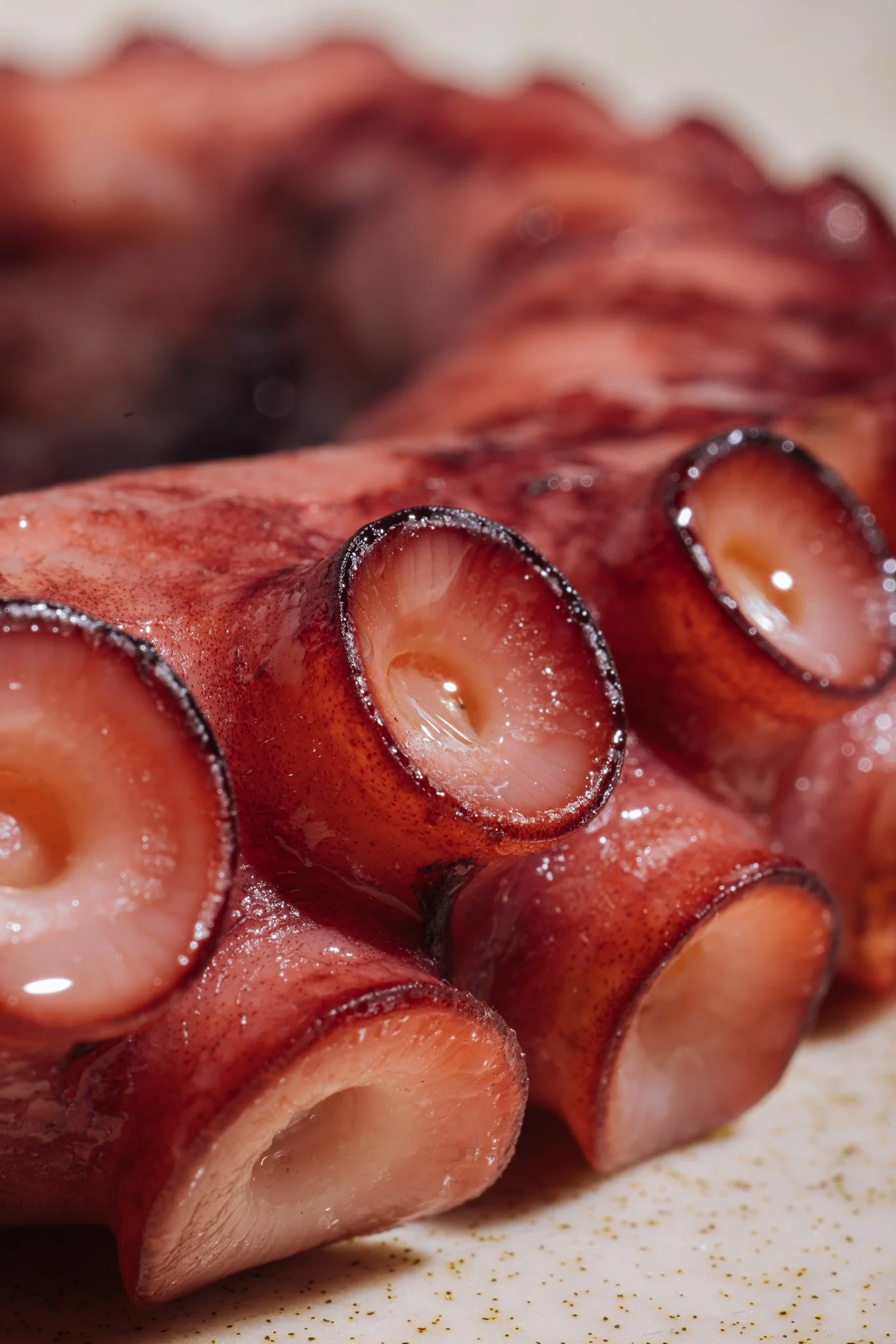 Yarra Botanica - @zennieshia-17.jpg