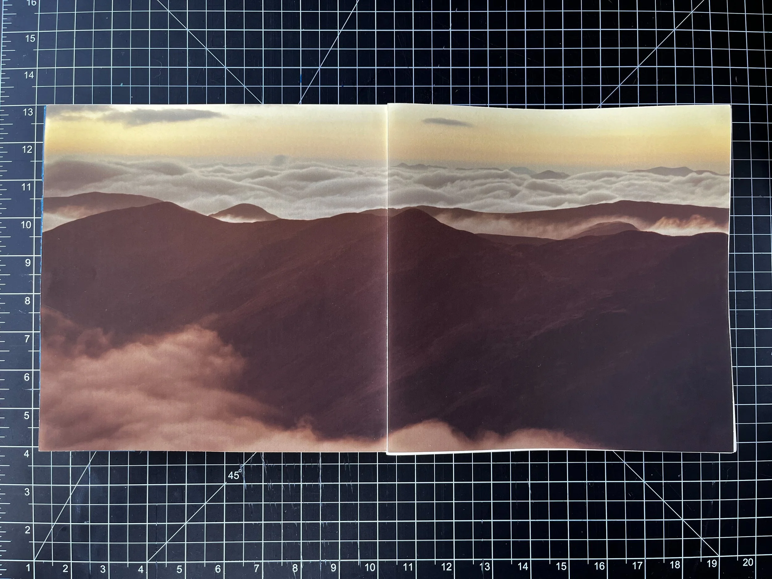 FullSizeRender.jpg