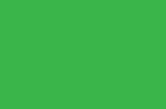 Green block.jpg