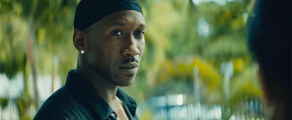 source (1).gif