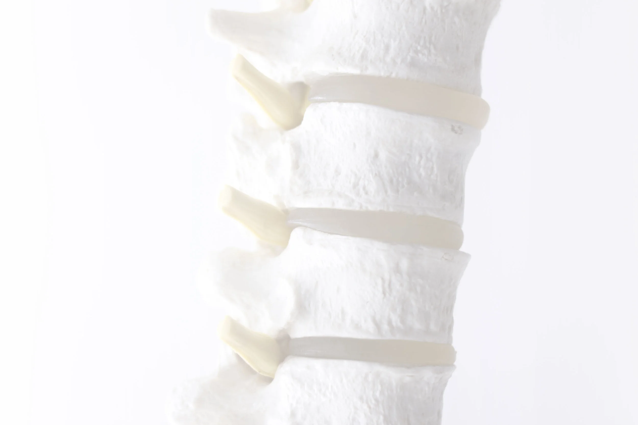 bigstock-Human-Spine-Column-Vertebra-Mo-205094518B.jpg