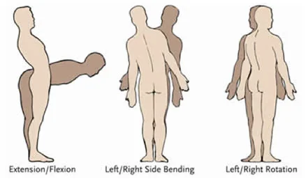 movements.jpg