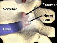 spinal_anatomy_clip_image001.jpg