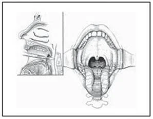 neck_pain_inflammatory_clip_image014.jpg