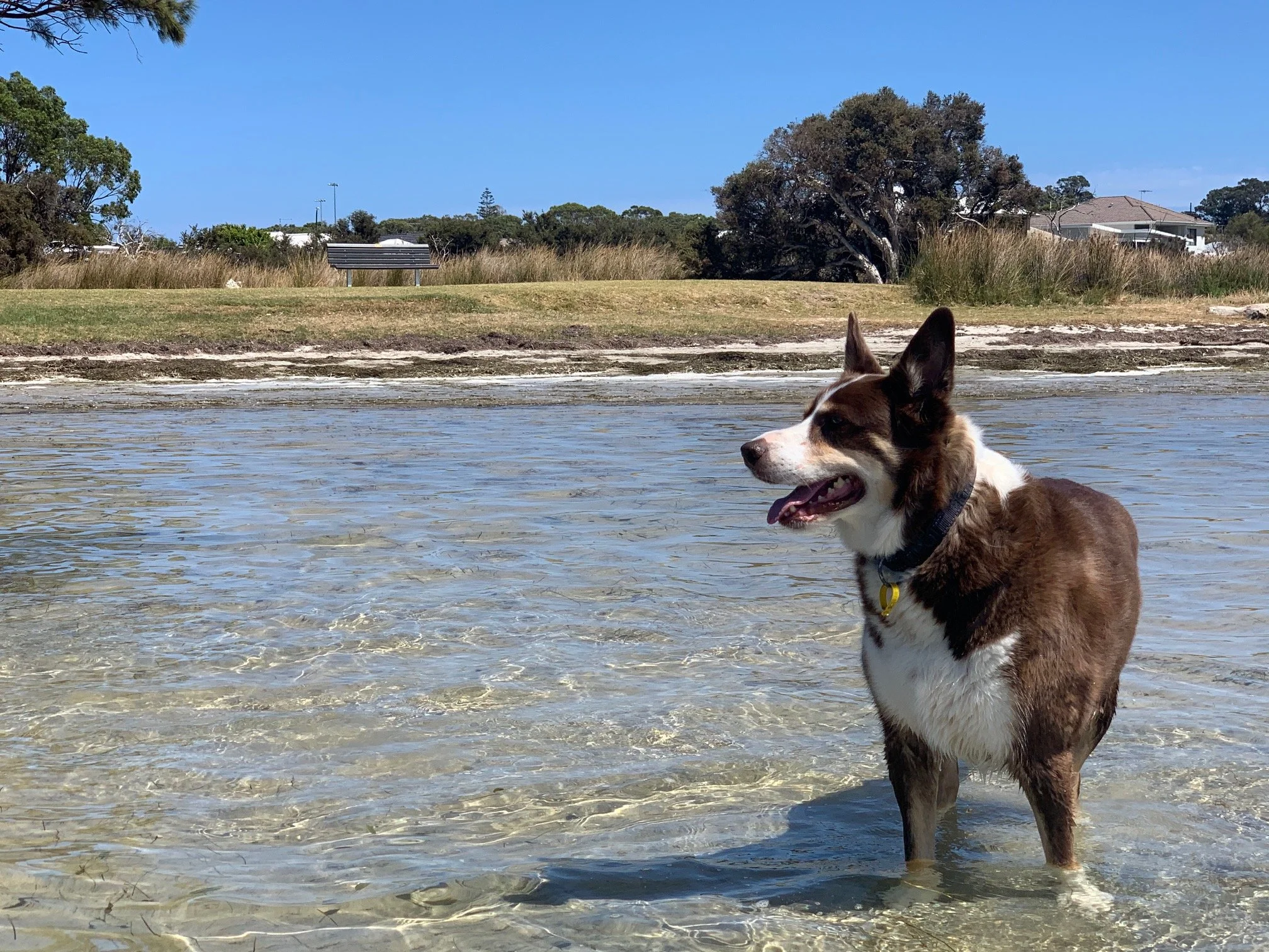 Lenny Estuary Paddle.JPEG