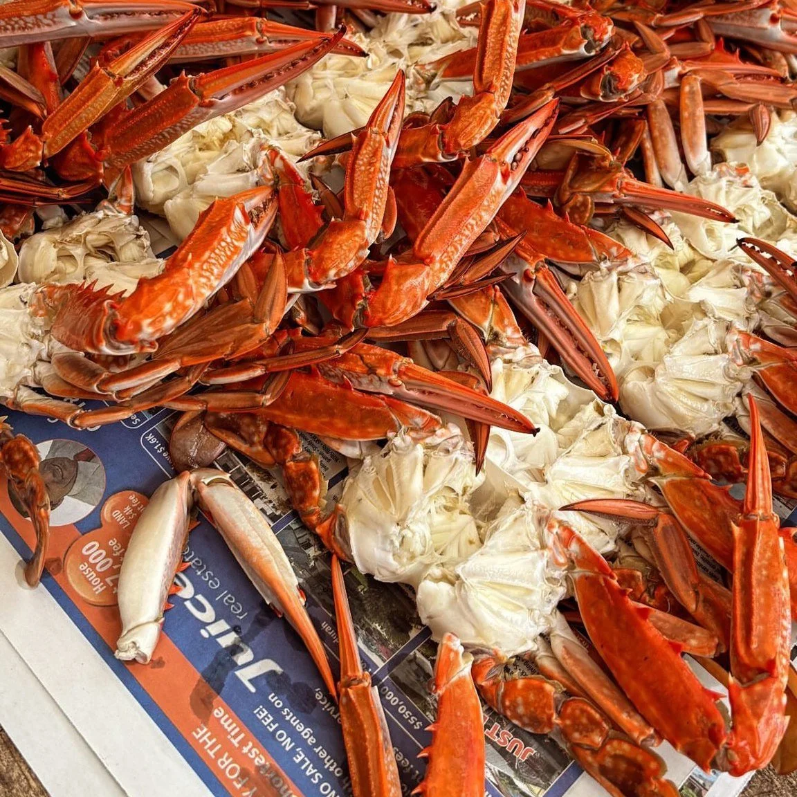 It's day one of summer 😎

And we all know what that means.... 🦀🦀🦀

Crabbing Season has officially OPENED! 

Here's some important things you should know and remember when you head out for your crabby quests!
 
Season: December 1st - August 31st 
