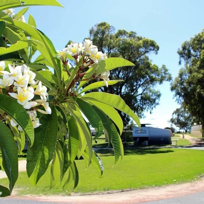 Enjoy the last moments of sunshine before winter kicks in at Miami Holiday Park! 
☀😎