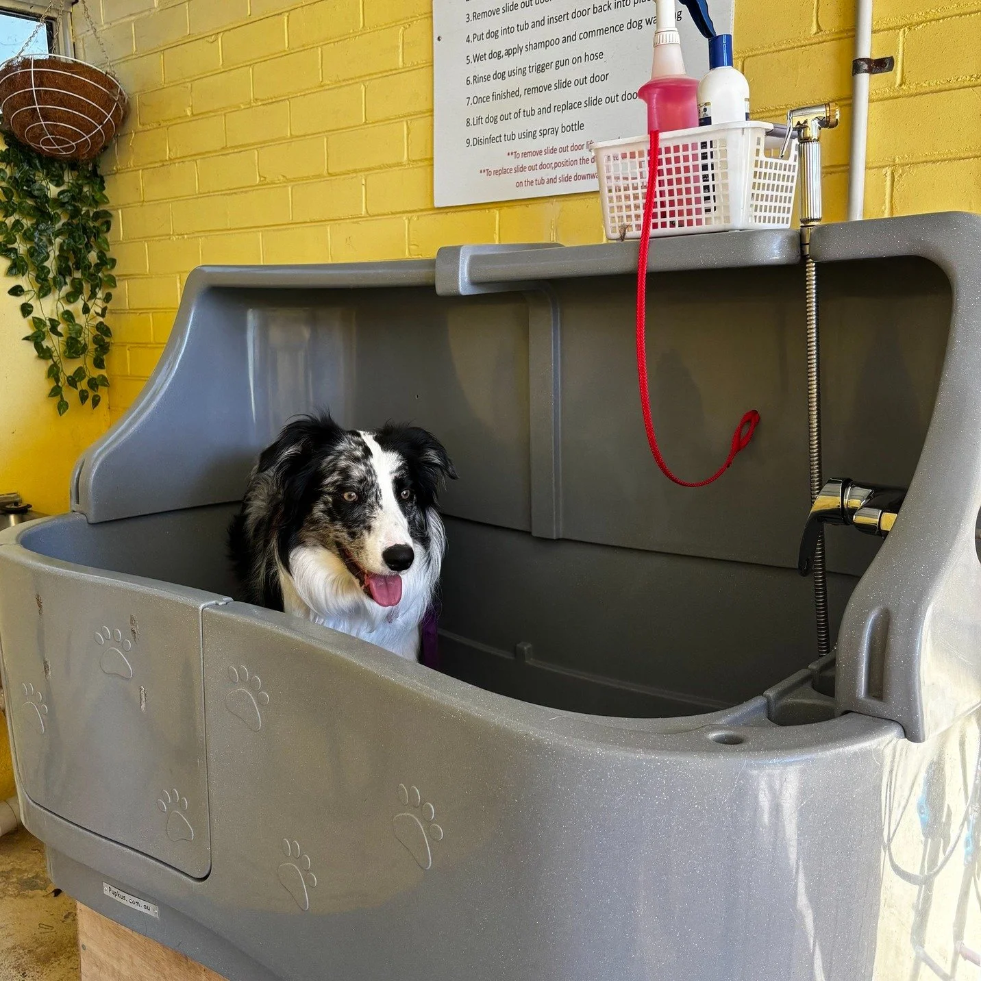 🐾🛁 **A Little Perk for Your Furry Travel Buddy!** 🛁🐾

Staying with us? Your four-legged friend can enjoy our **FREE Dog Wash Station**&mdash;available exclusively for guests! 🐶✨

After a day of adventures, give your pup a fresh clean-up with our
