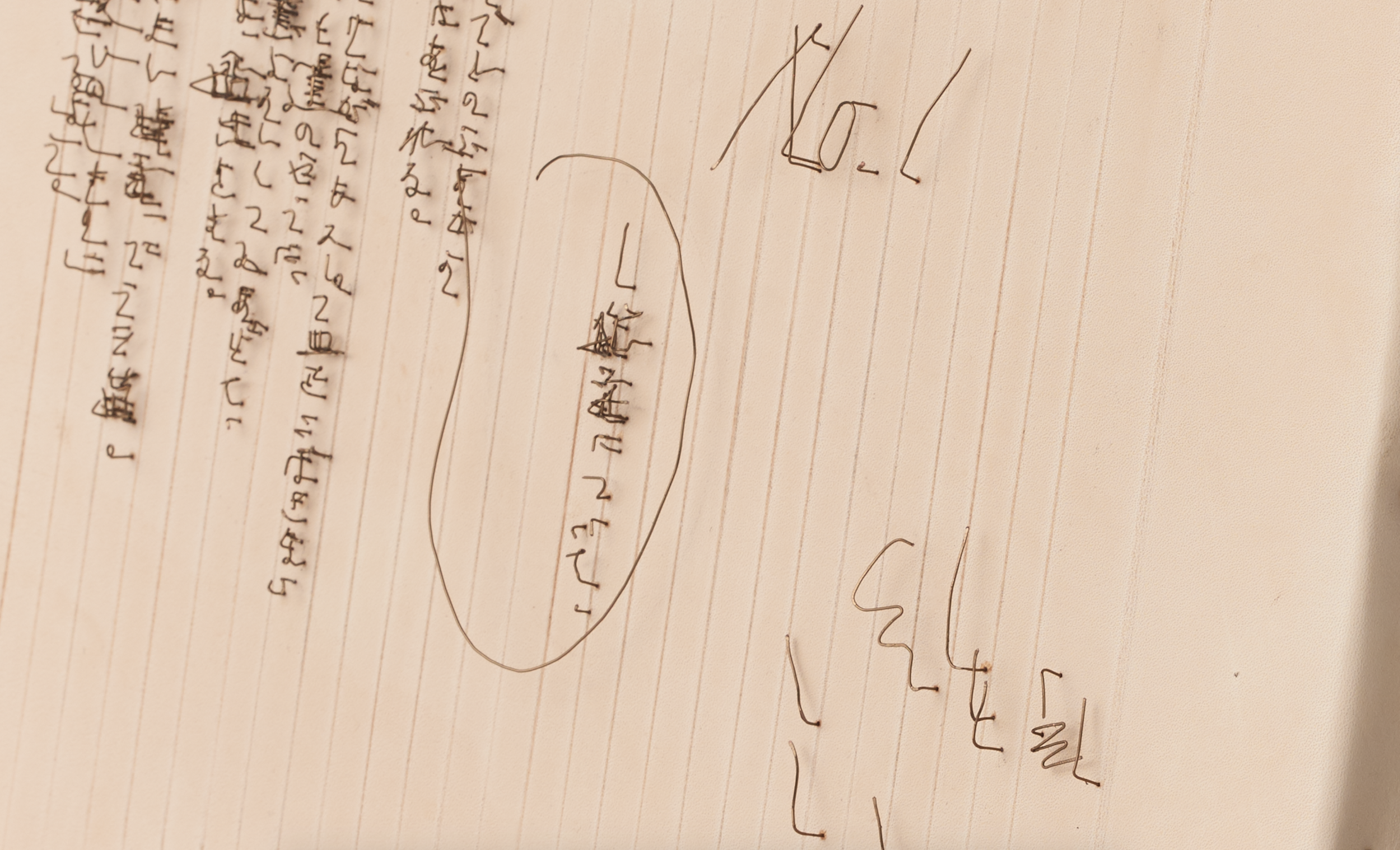 MitsuharuKaneko03.png