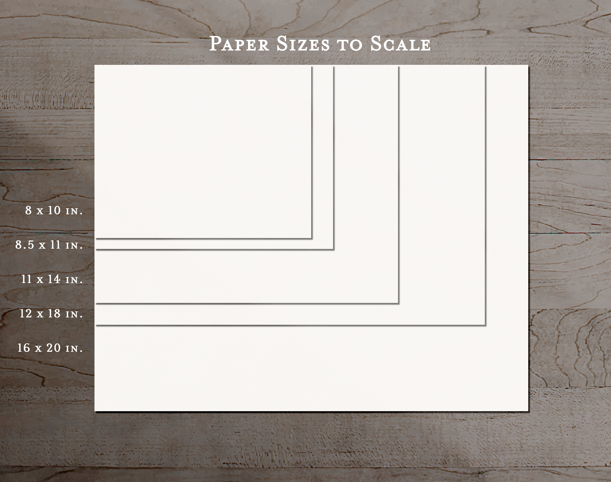 Paper-Sizes-Wall-Scene.png