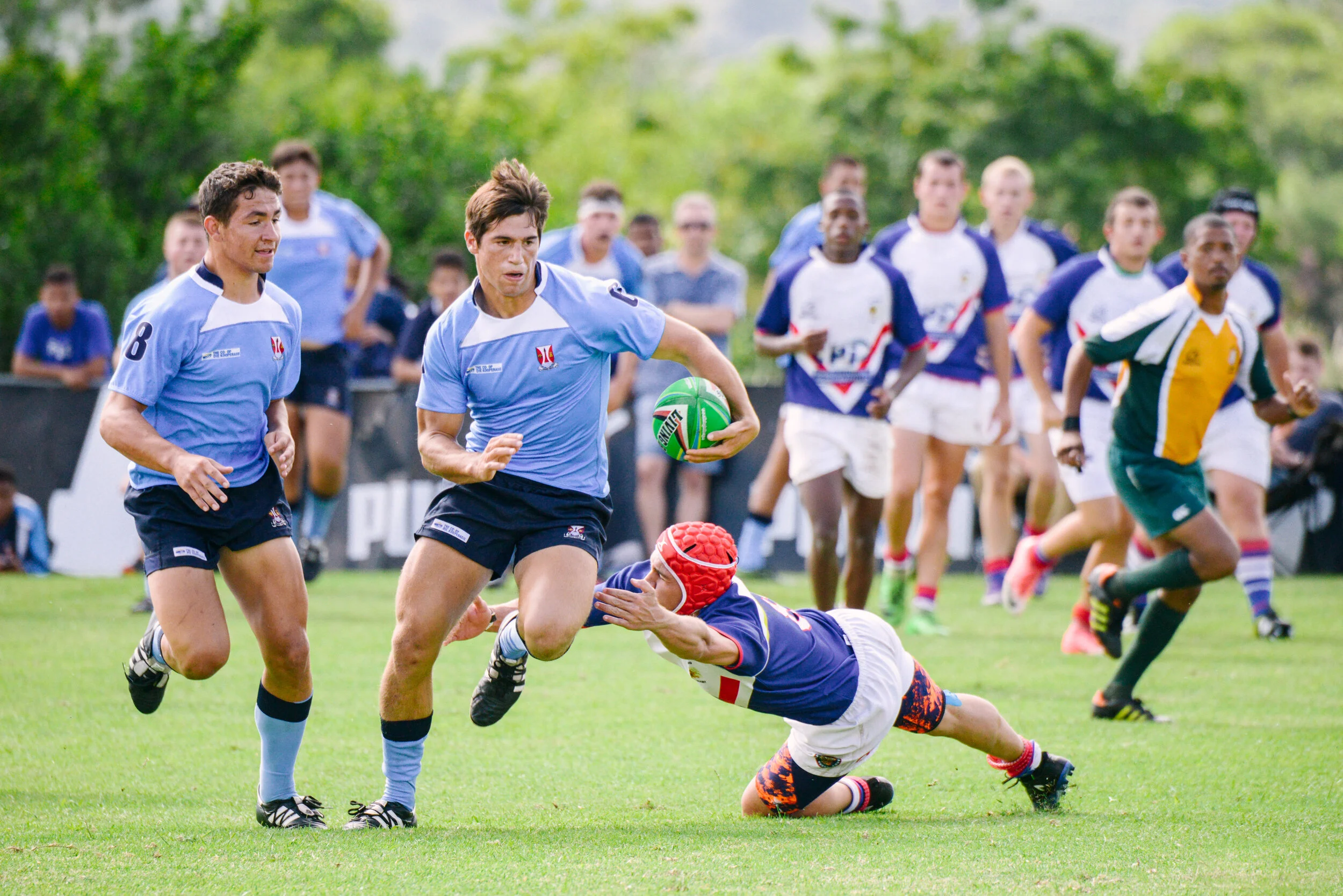   LOCAL EVENTS AND INTERNATIONAL TOURS  