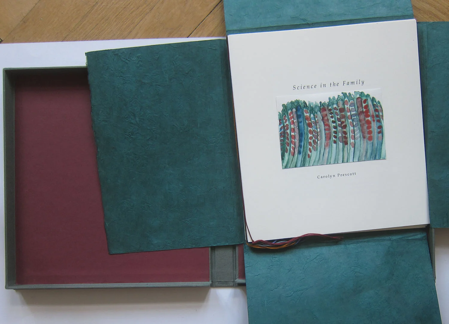 Science in the Family (Artist’s Book)