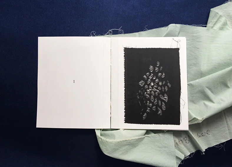 things I see in the sky, 2018, Ines Martins—llustrative modifications of clouds - from a series of devoré drawings on textile, a small book collecting those drawings wrapped by an original burnout print on textile.