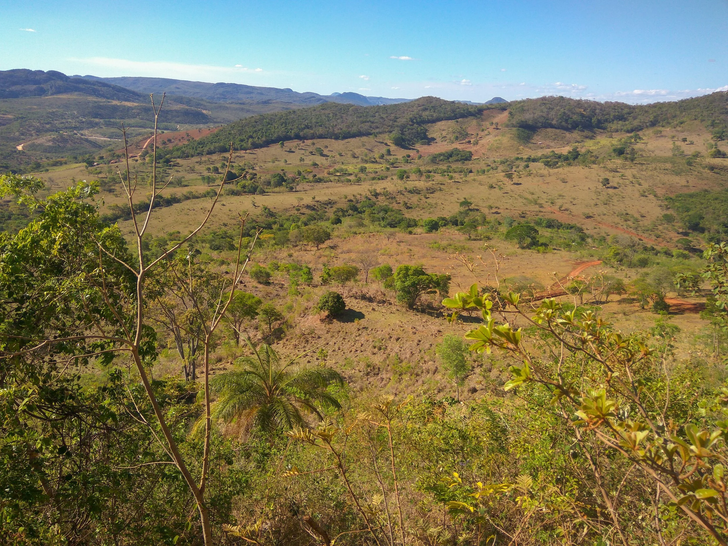 “Garigue”, entwaldetes Land
