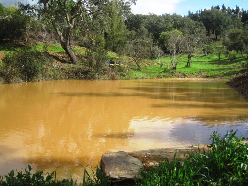 der gleiche Teich nach 3 Regentagen, April 2018