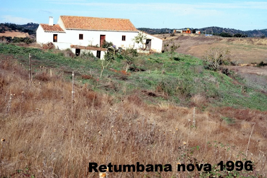 199.jpg
