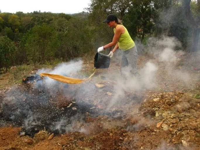 Wiederaufforstung in Portugal: der Film zum Leitfaden