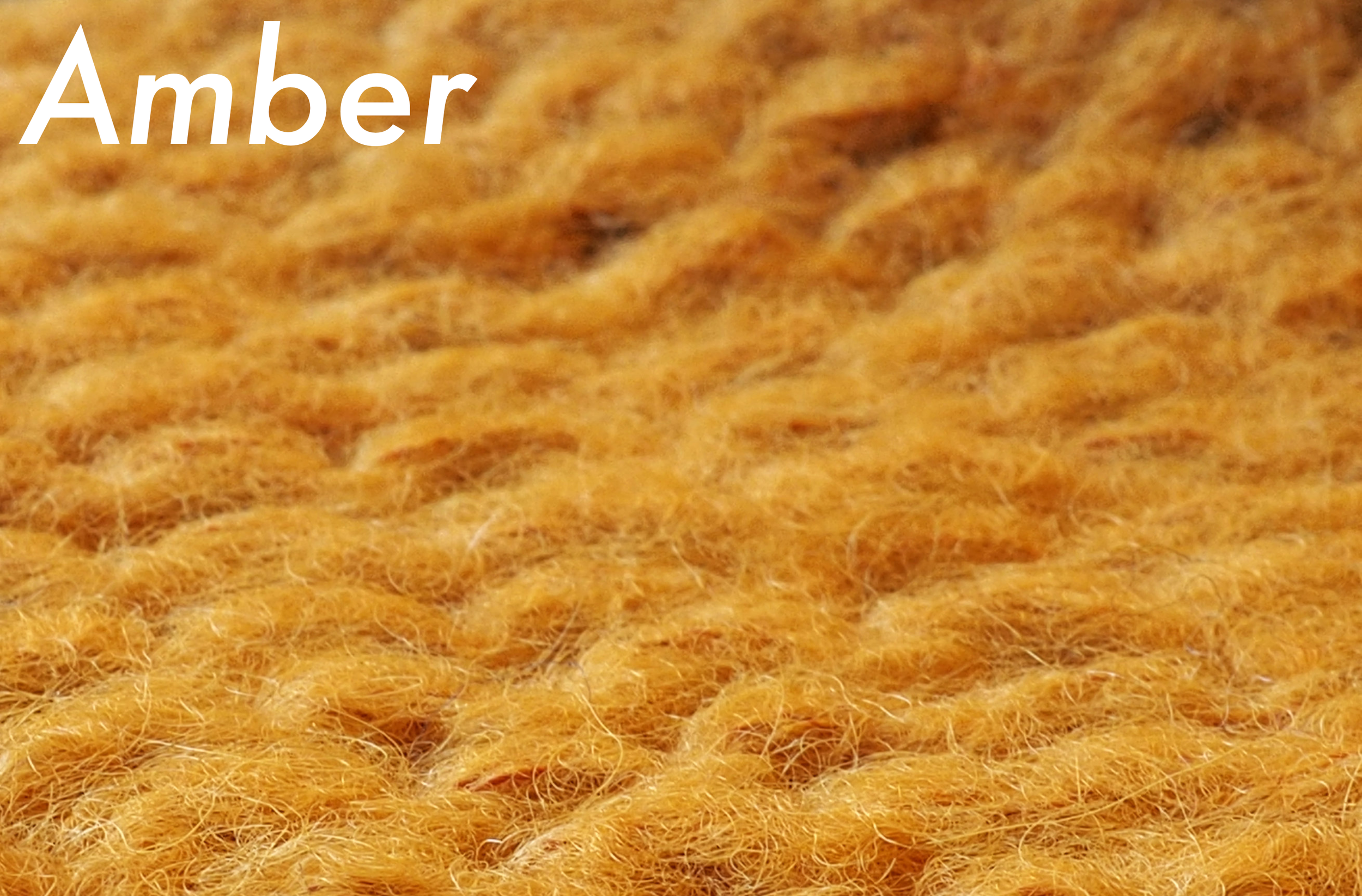 Amber name.png
