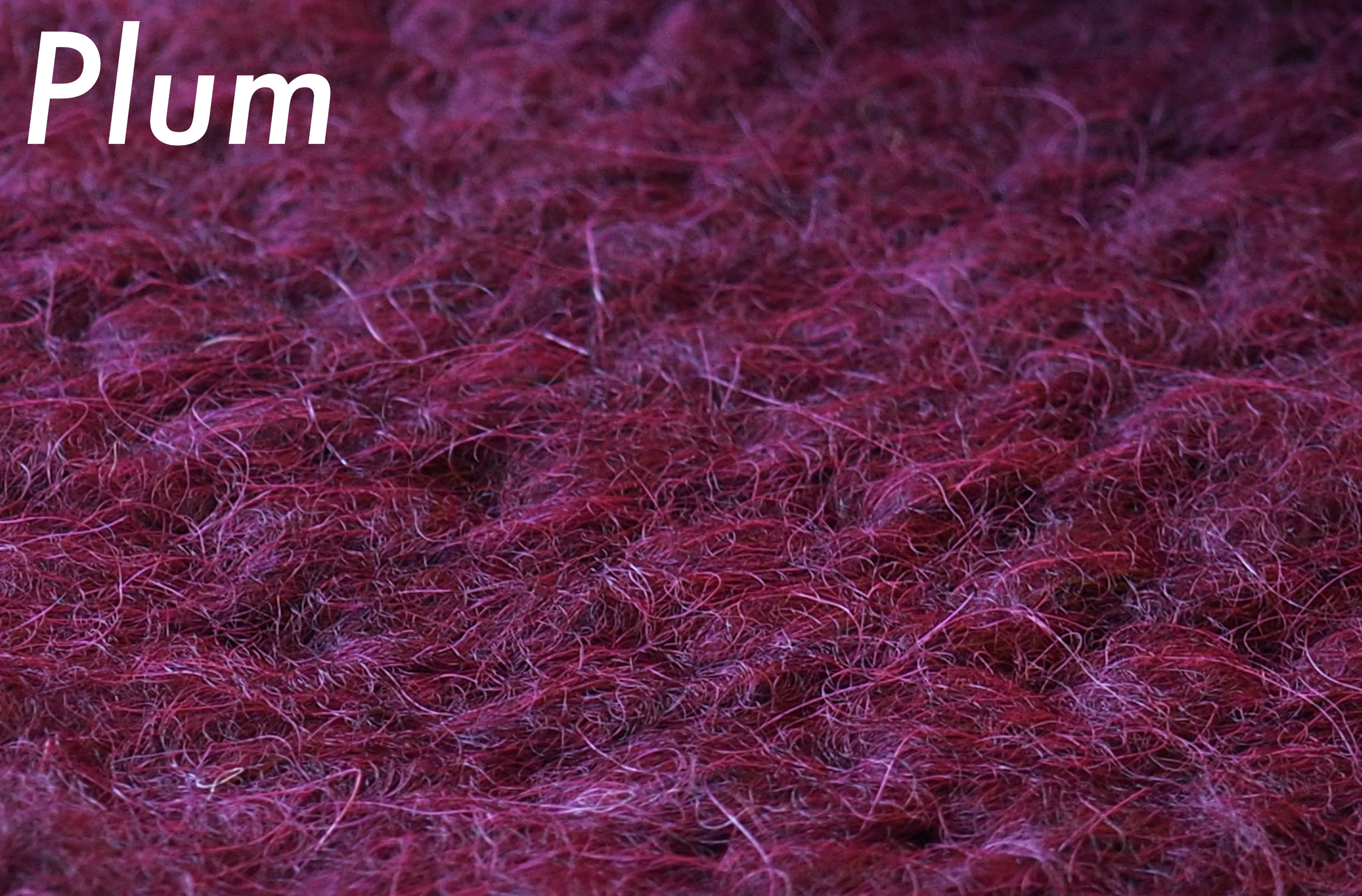6Plum name.png