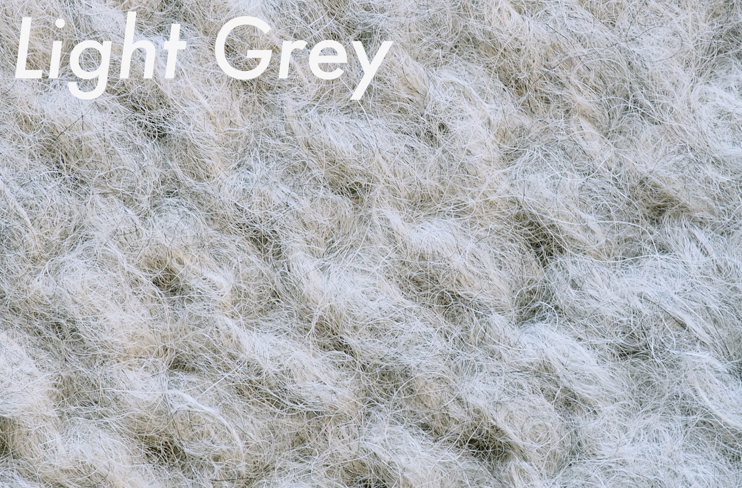 Light Grey name =v2.png