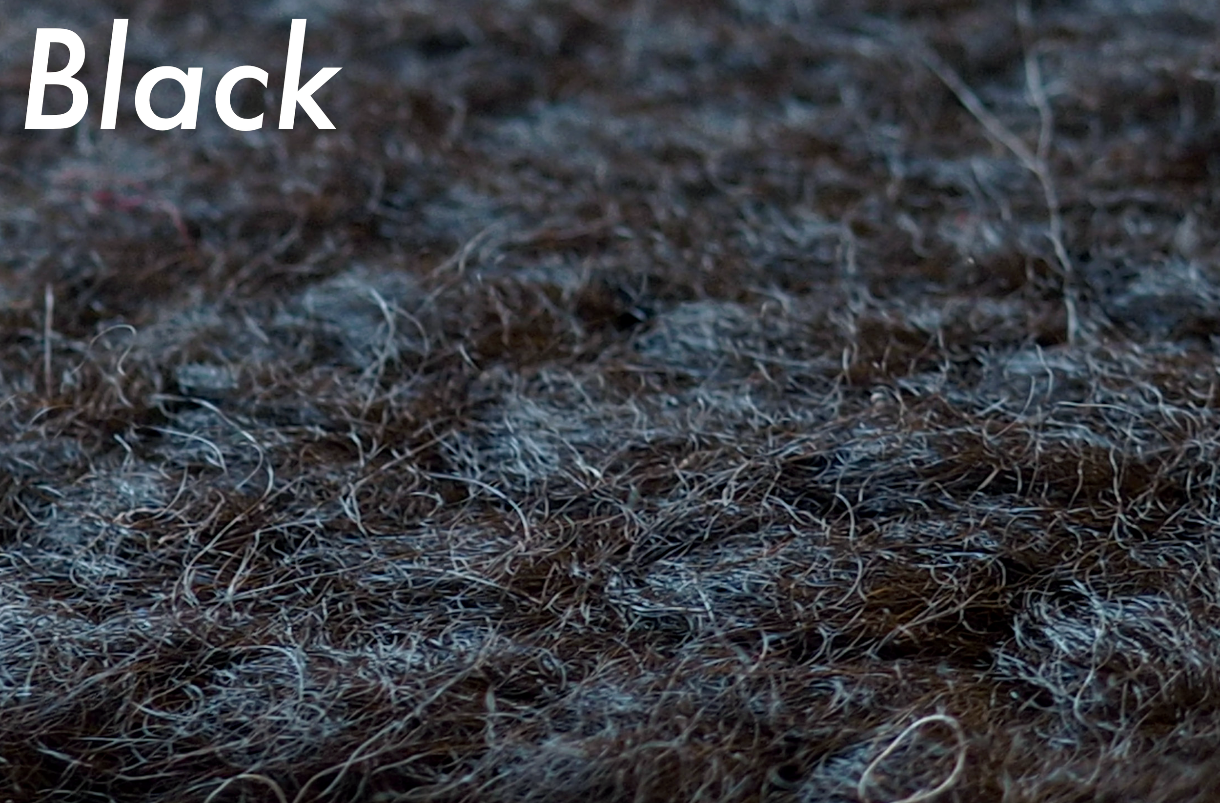 Black name V2.png