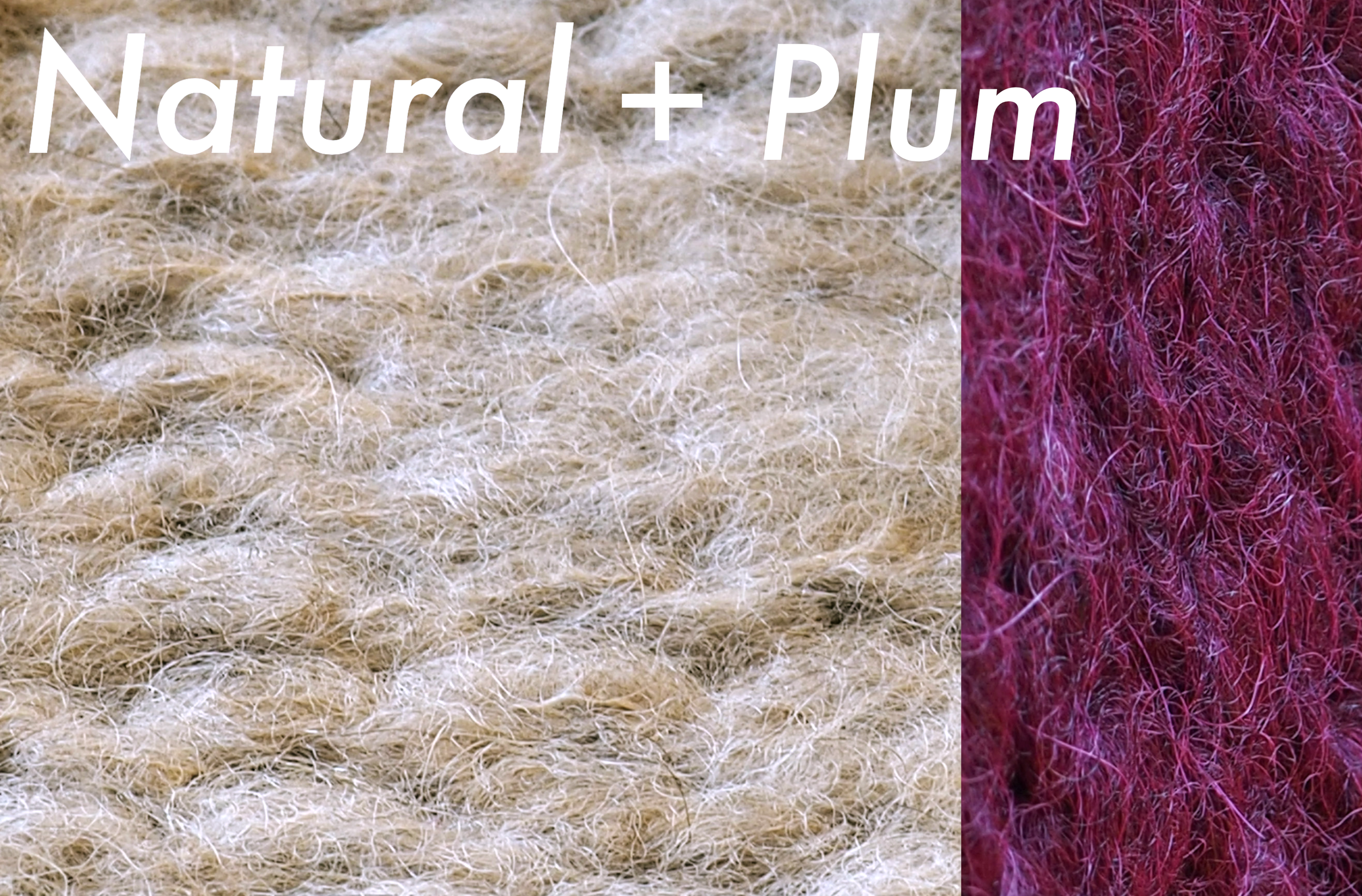 Natural + plum name V2.png