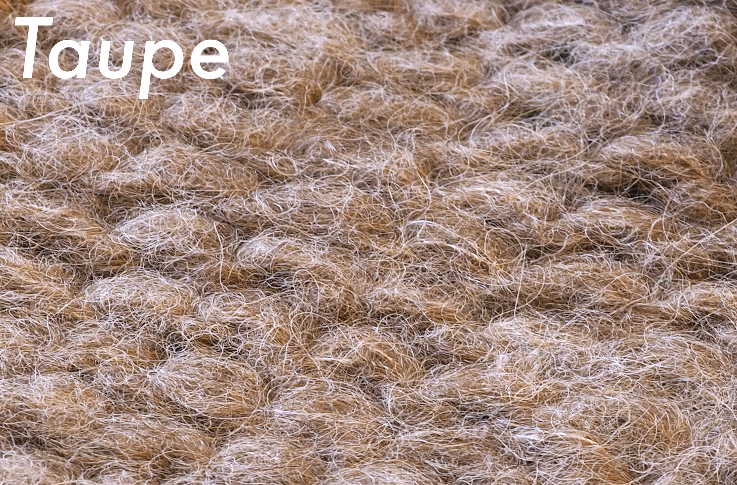 Taupe name V2.png