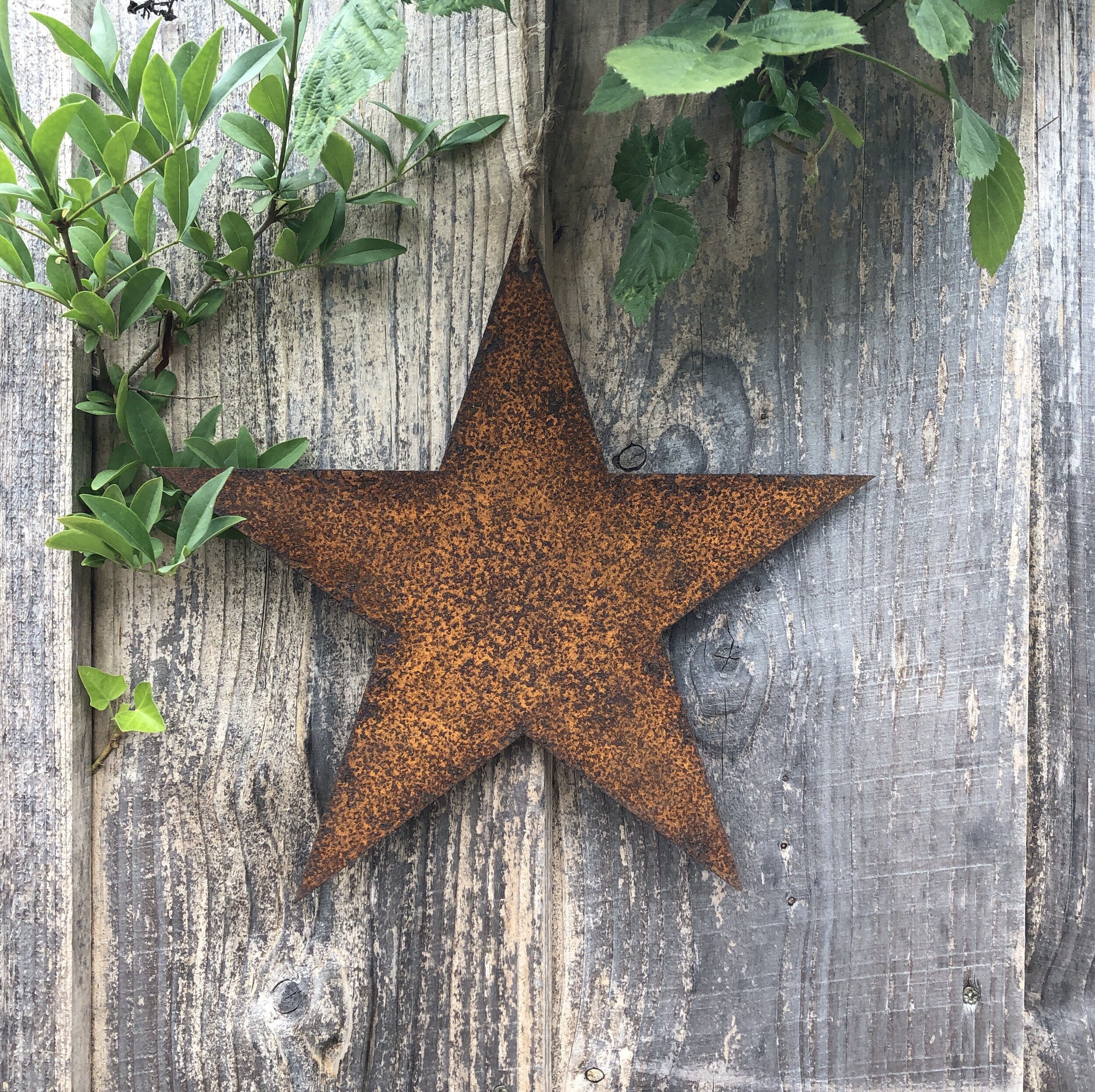 Buy Rusty Star on Etsy &gt;