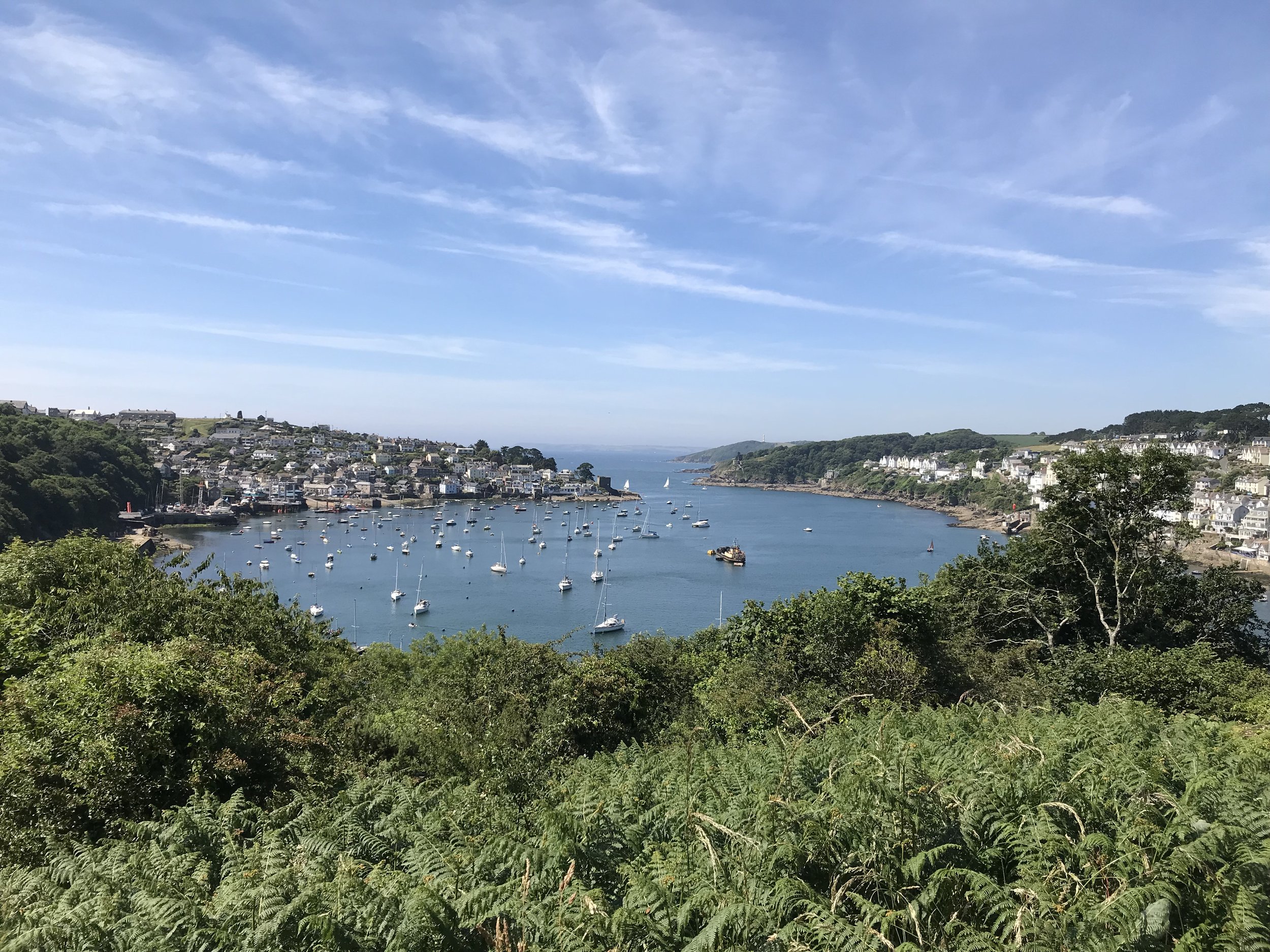 Polruan from Hall Walk landscape.jpg