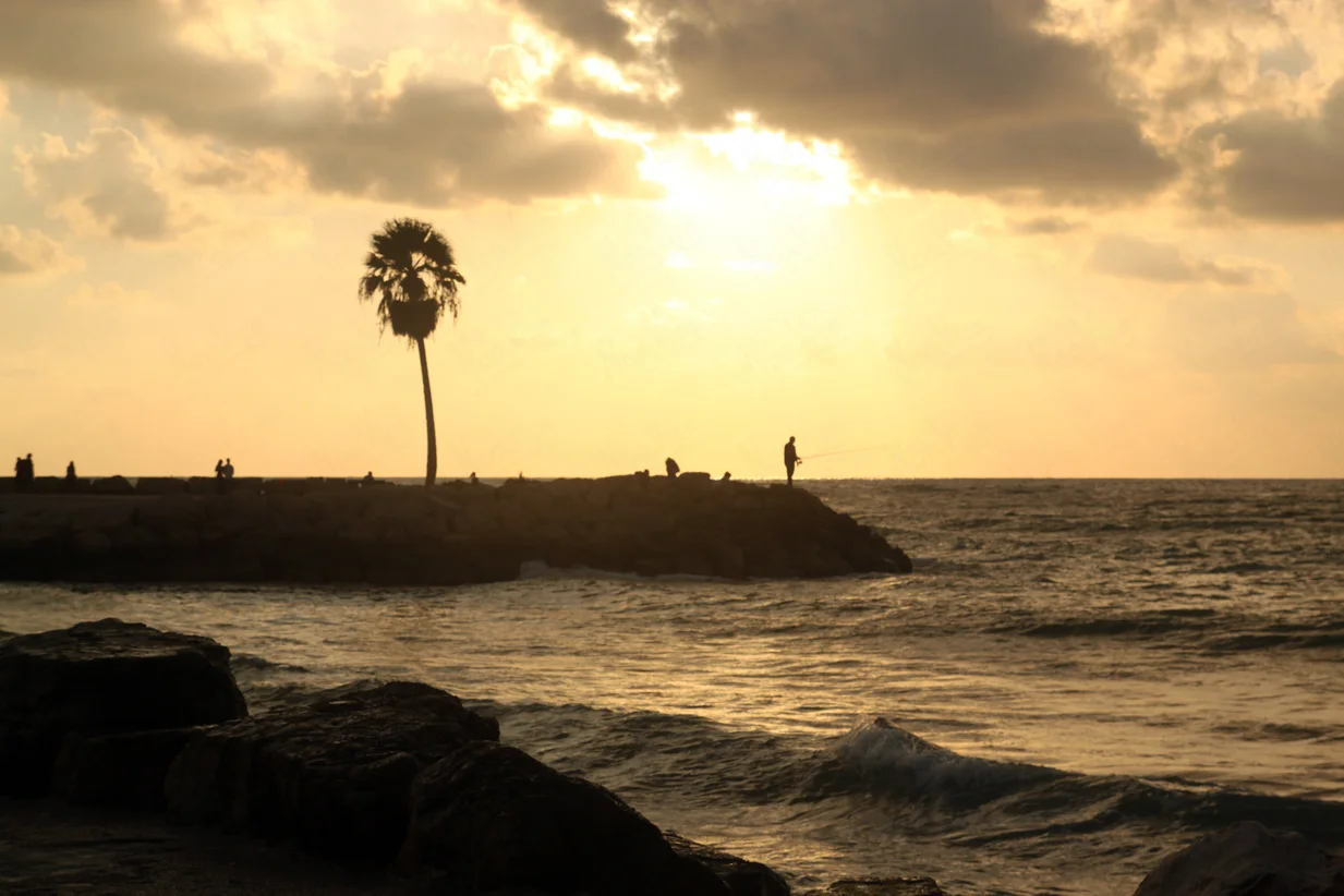 landscapes / נוף