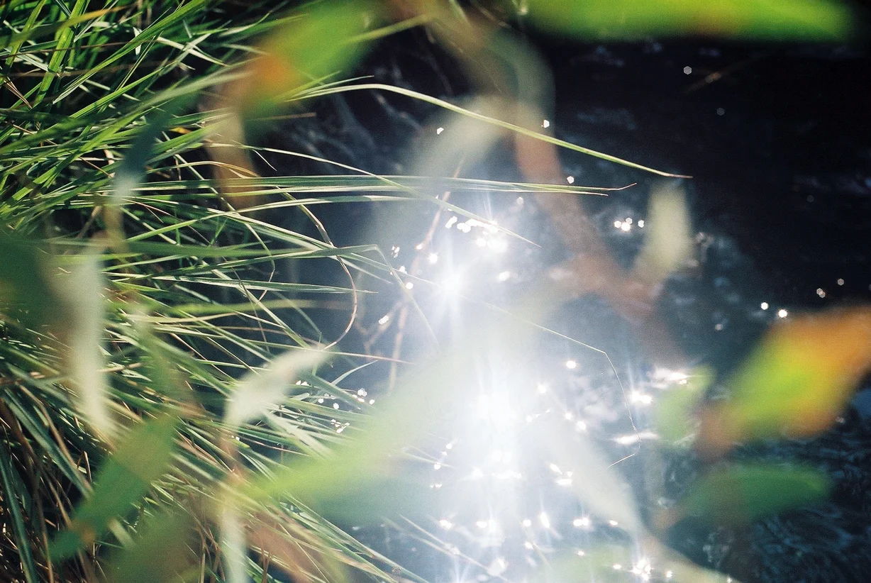 Light