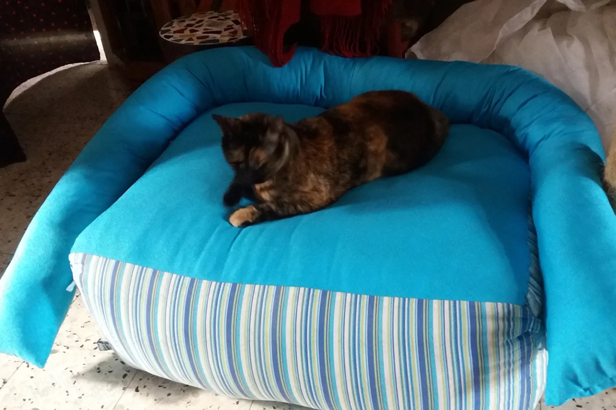 Pillows