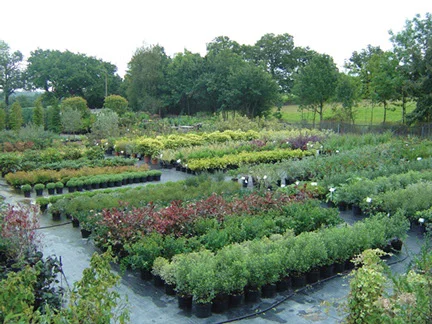 site pic.jpg