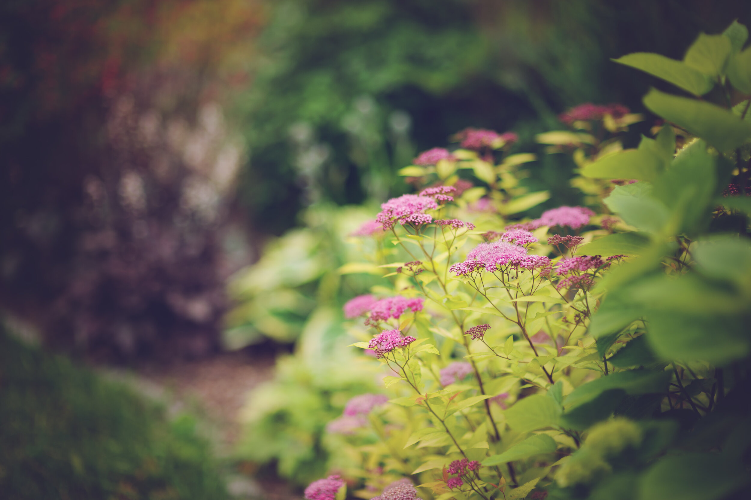 AdobeStock_200794557.jpeg