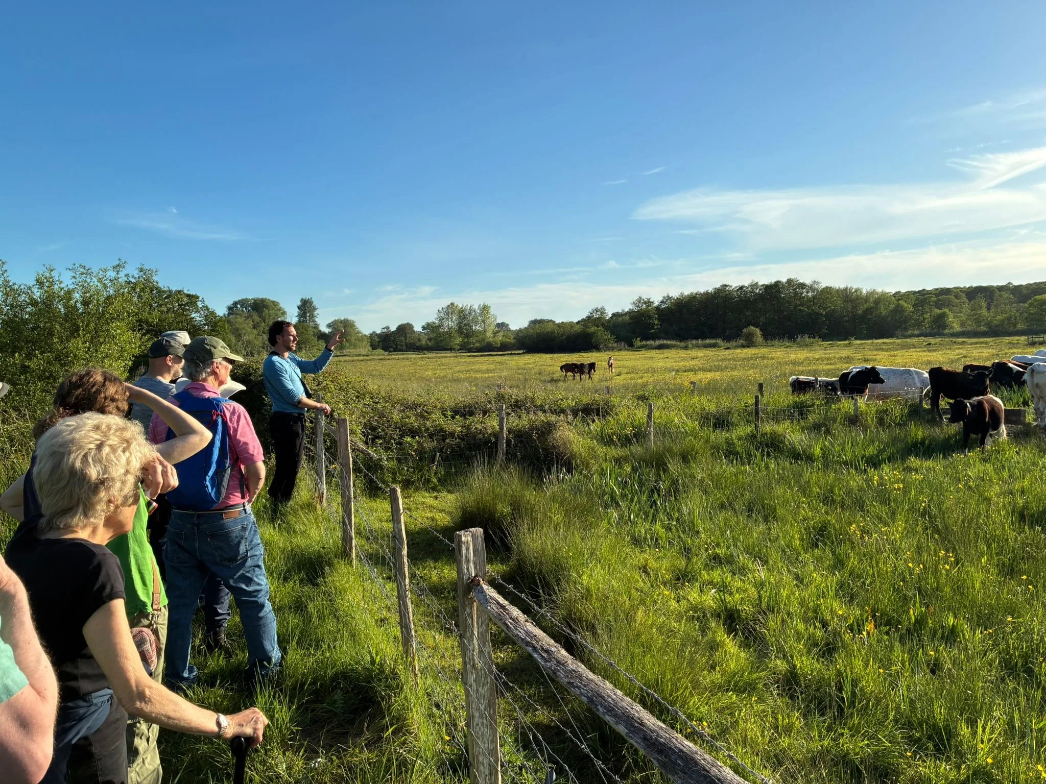 Winnall Moors 12.jpeg