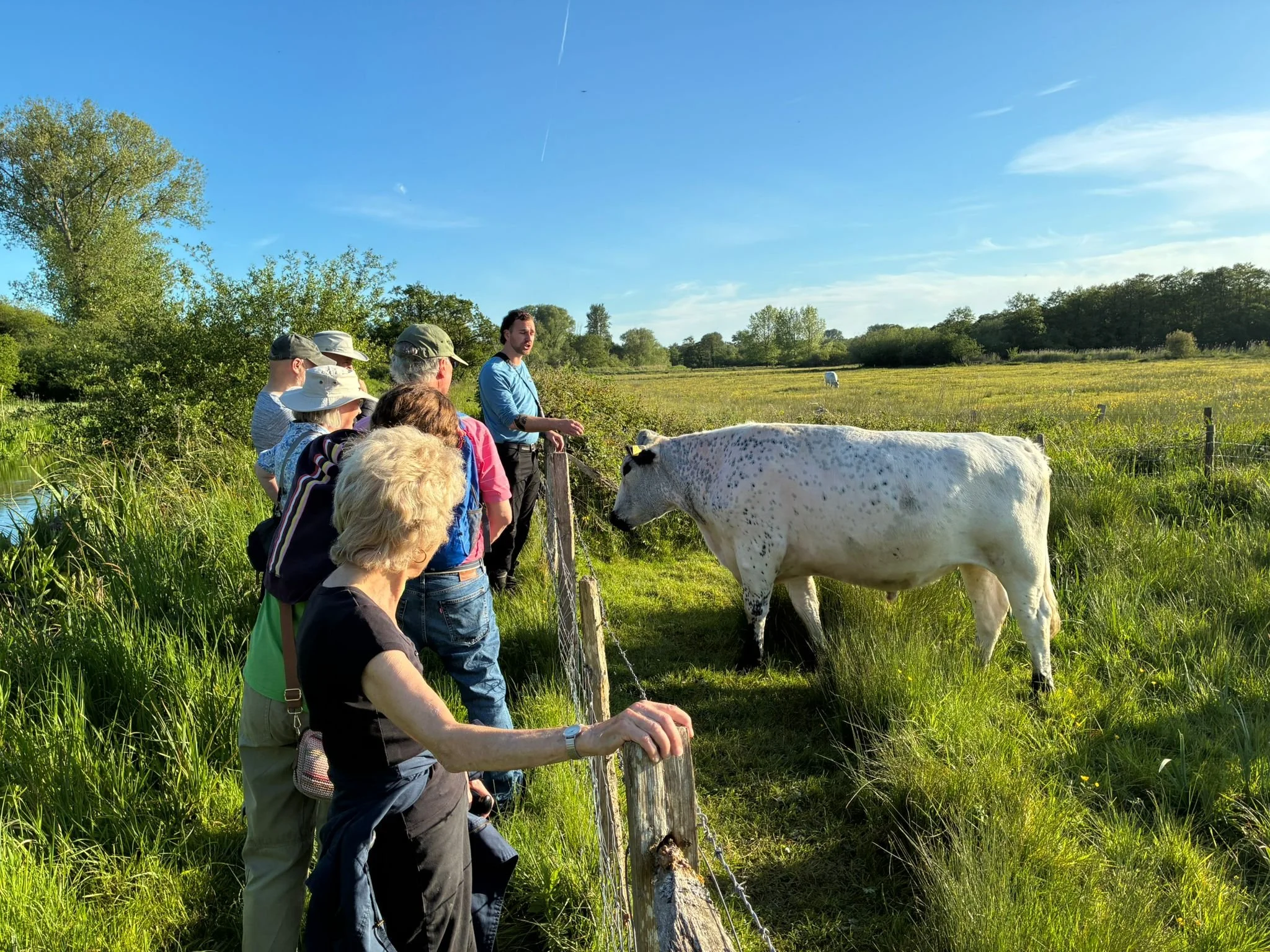 Winnall Moors 15.jpeg